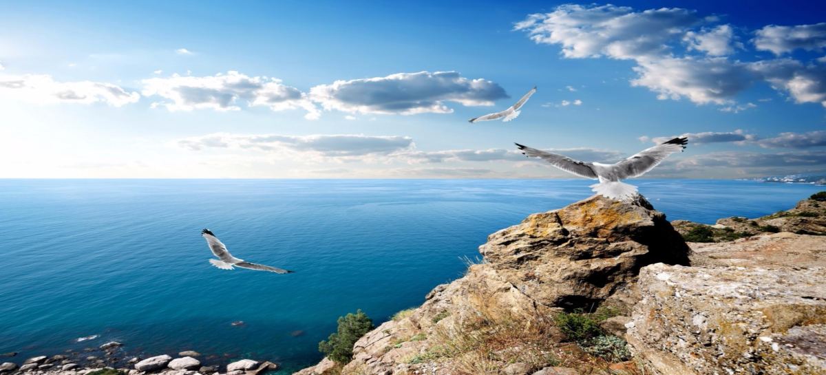 Обзор курортов Крыма